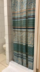 a bathroom with a shower curtain and a toilet at Centrally located spacious apartment in Willemstad