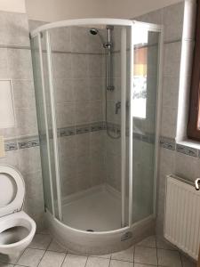 a shower in a bathroom with a toilet at Villapark apartments 201, Lipno in Lipno nad Vltavou