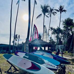 a group of surfboards on a beach with palm trees at Koh Kood Cabana in Ban Lak Uan