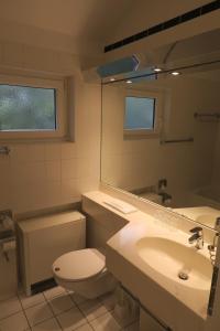 a bathroom with a toilet and a sink and a mirror at Landhaus 906 in Biersdorf