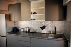 a kitchen with a sink and a counter top at Sabrini Residence B3 Timisoara Old Town in Timişoara