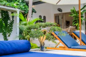 een bonsaiboom op de vloer van een patio bij Villa Bonsai Kecil Pererenan in Munggu