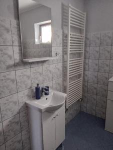 uma casa de banho com um lavatório branco e um espelho. em Apartman Bepo em Gospić