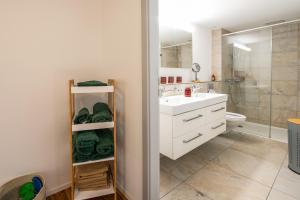 La salle de bains est pourvue d'un lavabo, de toilettes et d'une douche. dans l'établissement Schützenmatt Ferienwohnung, à Altdorf