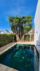 a swimming pool in front of a house with a palm tree at Casa Playa Javea in Jávea