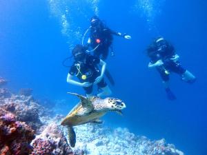 three people in the ocean looking at a fish at Furaveri Maldives in Raa Atoll