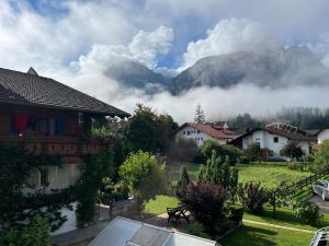 エールヴァルトにあるHaus Alpenblumeの山を背景にした村の風景