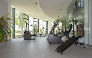 Fitness centrum a/nebo fitness zařízení v ubytování Hotel Meerane