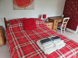 迪斯的住宿－Everlong Farm，一张带红色铺面毯子和书桌的床