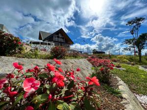 a house with red flowers in front of it at Casa Escala in Gingoog