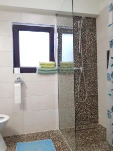 ein Bad mit einer Dusche und einer Glastür in der Unterkunft Apartments Helena Pomer in Pomer