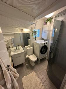 a bathroom with a toilet and a sink and a shower at Villa Juuris in Rovaniemi