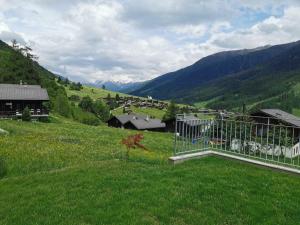 Paesaggio naturale nelle vicinanze dell'appartamento
