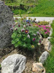 Giardino di Studio mit traumhafter Aussicht
