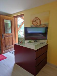 TV o dispositivi per l'intrattenimento presso Studio mit traumhafter Aussicht