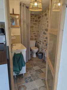 Baño pequeño con aseo y lavamanos en Maison de Vacances 12min du Puy du fou grand studio, en Saint-Laurent-sur-Sèvre