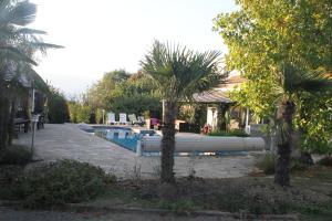 a swimming pool with palm trees in front of a house at Super appart piscine proche Genève in Viry