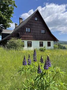 Fotografie z fotogalerie ubytování Chalupa u kapličky Říčky v Orlických horách v destinaci Wüstenei