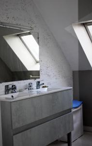 a bathroom with a sink and a mirror at Gîtes Bellevue et Mascaret in Courtils