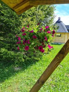Zahrada ubytování Hiiemäe Puhkemaja