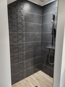 a bathroom with a shower with black tiles at Chambres Jura Sud in Charchilla