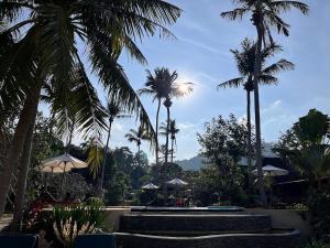 Ein Garten an der Unterkunft Green Papaya Beach Resort, Koh Phangan