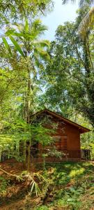 烏達瓦拉維的住宿－Walawa Dreams Safari Resort，森林中间的小房子