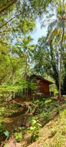 una piccola casa in mezzo a una foresta di Walawa Dreams Safari Resort a Udawalawe