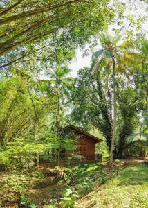 a small cabin in the middle of a forest at Walawa Dreams Safari Resort in Udawalawe