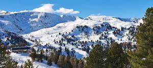 a snow covered mountain with trees and a train at Chalet Bergliebe Turrach in Turracher Hohe