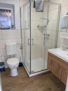 a bathroom with a shower and a toilet and a sink at Gästezimmer Lütje Wattwurm in Dornumersiel