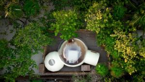 Aed väljaspool majutusasutust Astral Tulum