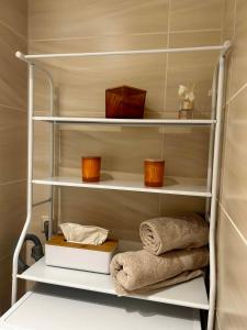 Pokój z półkami z ręcznikami i książkami w obiekcie Bergerlebnis Natur pur w mieście Sankt Englmar