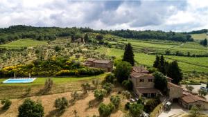 an aerial view of a house in a vineyard at Renzo Marinai in Panzano