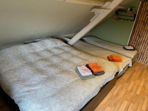 2 Etagenbetten in einem Zimmer mit einer Leiter in der Unterkunft CasaDeKaMa in Evergem