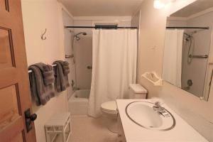 a bathroom with a sink and a toilet and a shower at Beach Retreat in Harbor Springs +20 photos