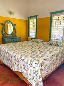 a bedroom with a bed and a mirror and windows at Villa Las Palmas in Las Galeras