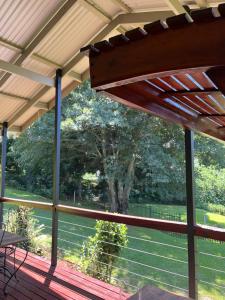 a screened in porch with a view of a tree at Forest View Cottage in Pietermaritzburg