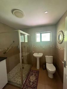 a bathroom with a toilet and a shower and a sink at Forest View Cottage in Pietermaritzburg