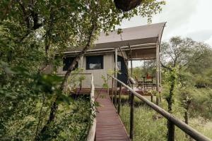 a house with a wooden walkway leading to it at Isambane Camp in Balule Game Reserve