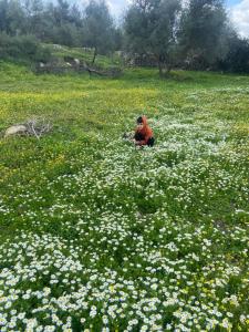 une personne assise dans un champ de fleurs dans l'établissement AUBERGE El HAJ BOUAYYADY ZOUAKINE, 