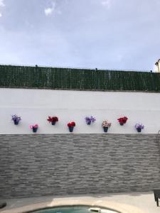 Una pared con flores en macetas. en casa el olivo, en Montejaque