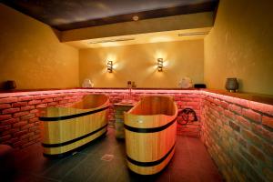 Zdjęcie z galerii obiektu LH Hotel Dvořák Tábor Congress & Wellness w Taborze