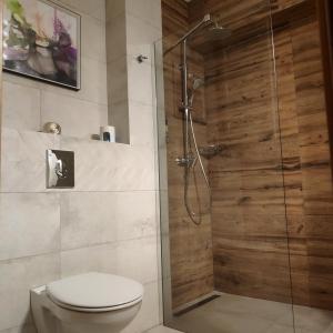 a bathroom with a toilet and a shower at Apartament HELLADA in Krynica Zdrój