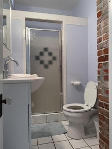 een badkamer met een douche, een toilet en een wastafel bij The Painted Lady, a spacious renovated 4BR Victorian in St. Augustine