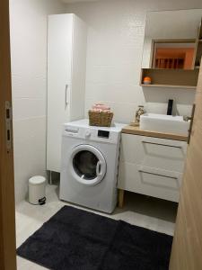 a laundry room with a washing machine and a sink at Appart équipé 2 personnes in Saint-Amand-les-Eaux