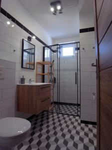a bathroom with a toilet and a sink and a shower at Apartmány Pekárna in Staré Město