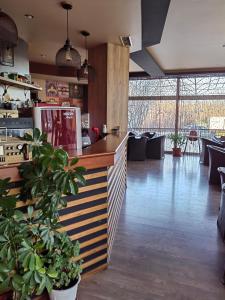 un restaurante con un mostrador con macetas en Family Hotel Diana, en Tsarevo