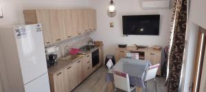 a kitchen with a white refrigerator and a sink at Zander House in Pecineaga