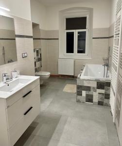 y baño con lavabo, bañera y aseo. en Jizerské apartmány Ha&Ha, en Janov nad Nisou
